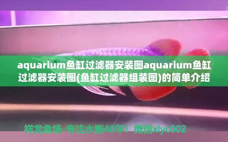 aquarium鱼缸过滤器安装图aquarium鱼缸过滤器安装图(鱼缸过滤器组装图)的简单介绍 红尾平克鱼 第1张