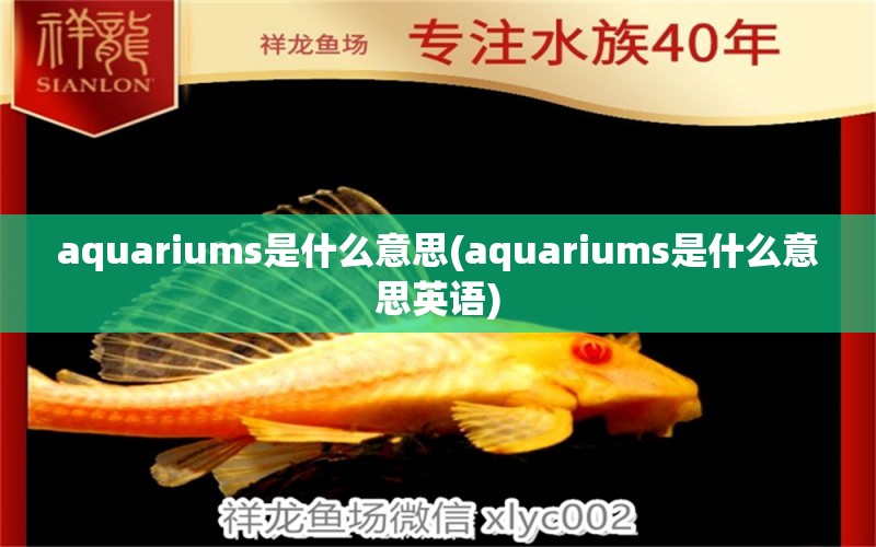 aquariums是什么意思(aquariums是什么意思英语) 泰庞海鲢鱼 第1张