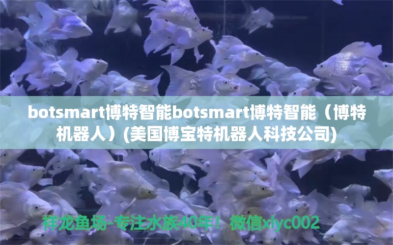 botsmart博特智能botsmart博特智能（博特机器人）(美国博宝特机器人科技公司) 博特水族 第2张