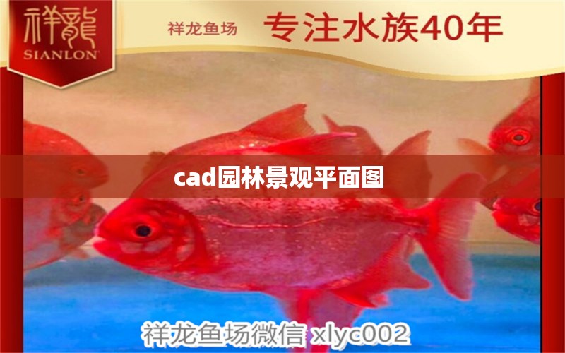 cad园林景观平面图 