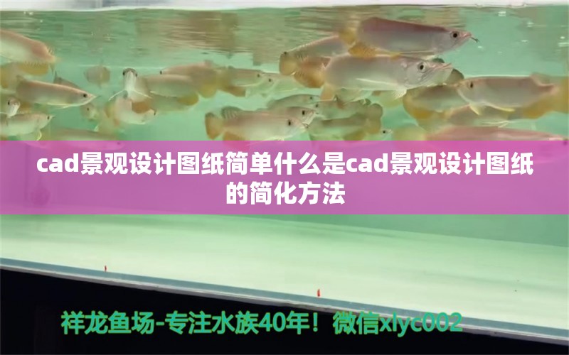 cad景观设计图纸简单什么是cad景观设计图纸的简化方法 广州景观设计 第1张