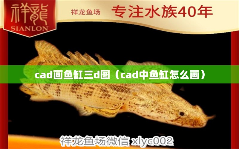 cad画鱼缸三d图（cad中鱼缸怎么画） 祥龙水族医院