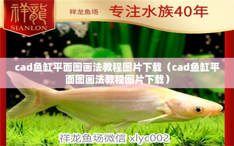 cad鱼缸平面图画法教程图片下载（cad鱼缸平面图画法教程图片下载）