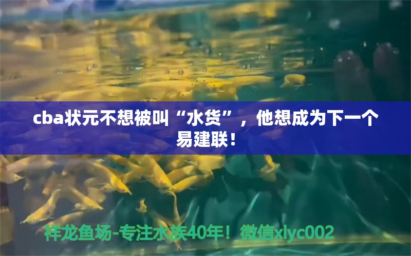 cba状元不想被叫“水货”，他想成为下一个易建联！ 观赏鱼