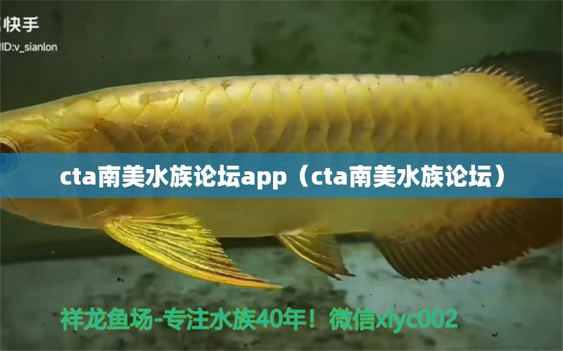 cta南美水族论坛app（cta南美水族论坛） 养鱼知识