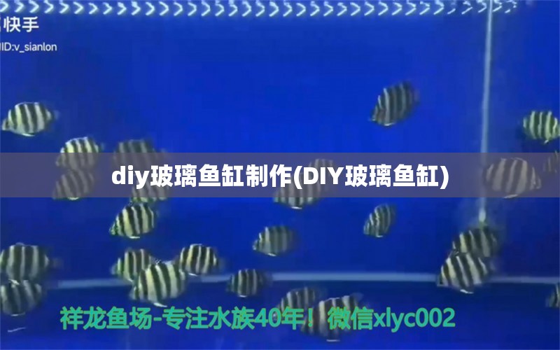 diy玻璃鱼缸制作(DIY玻璃鱼缸)