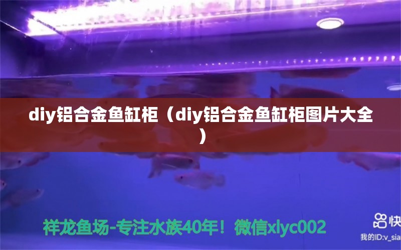 diy铝合金鱼缸柜（diy铝合金鱼缸柜图片大全） 其他品牌鱼缸