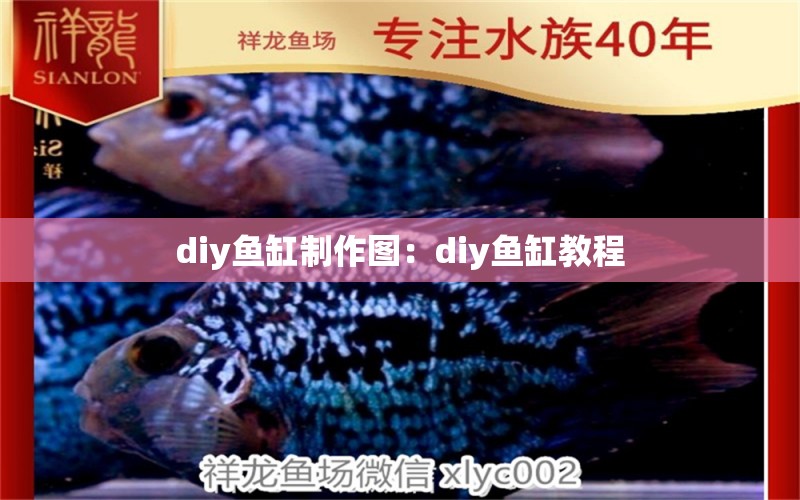 diy鱼缸制作图：diy鱼缸教程 养鱼的好处 第2张