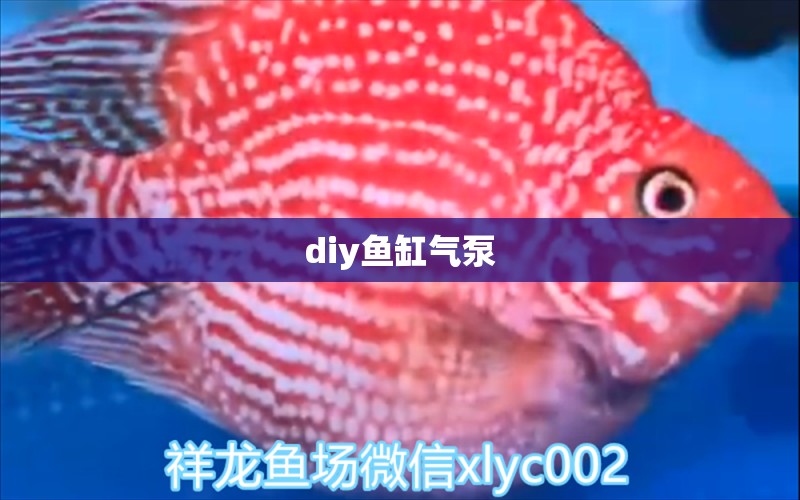 diy鱼缸气泵