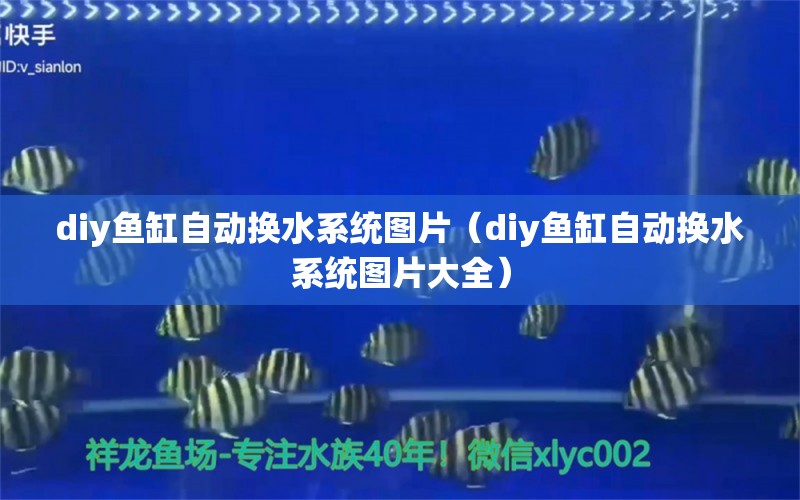 diy鱼缸自动换水系统图片（diy鱼缸自动换水系统图片大全）