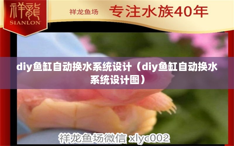 diy鱼缸自动换水系统设计（diy鱼缸自动换水系统设计图）