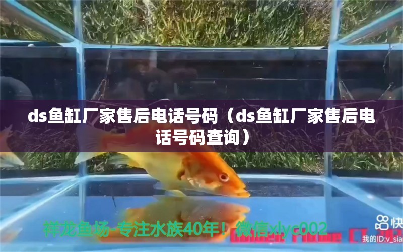 ds鱼缸厂家售后电话号码（ds鱼缸厂家售后电话号码查询）