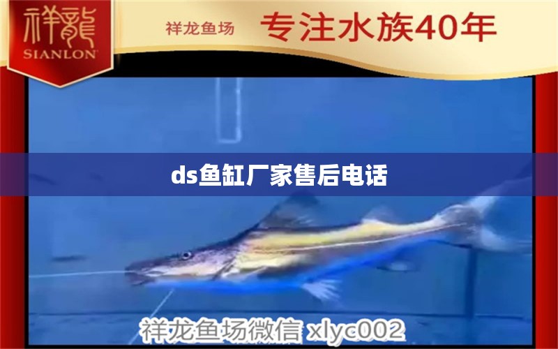 ds鱼缸厂家售后电话