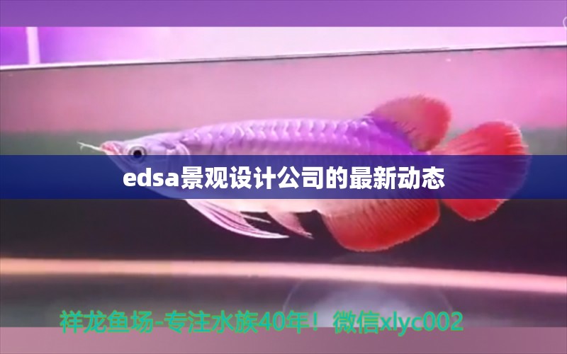 edsa景观设计公司的最新动态