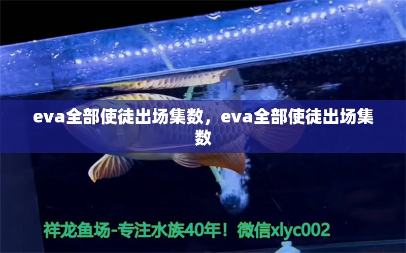 eva全部使徒出场集数，eva全部使徒出场集数