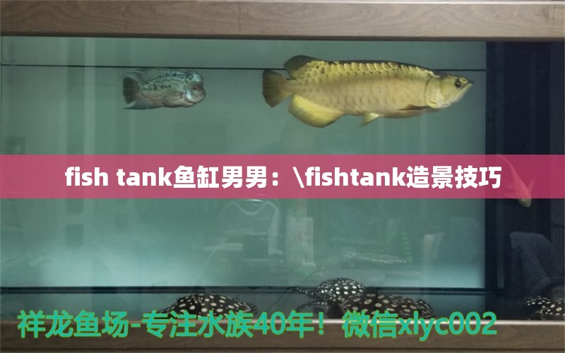 fish tank鱼缸男男：\fishtank造景技巧