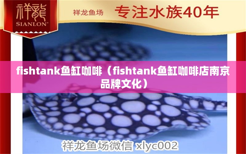 fishtank鱼缸咖啡（fishtank鱼缸咖啡店南京品牌文化） 马来西亚咖啡