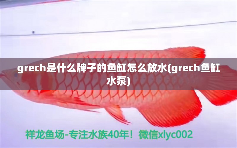 grech是什么牌子的鱼缸怎么放水(grech鱼缸水泵)