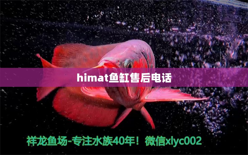 himat鱼缸售后电话