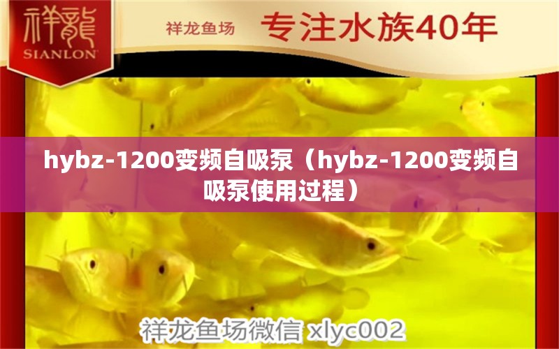 hybz-1200变频自吸泵（hybz-1200变频自吸泵使用过程）