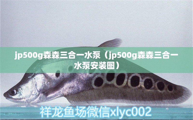 jp500g森森三合一水泵（jp500g森森三合一水泵安装图）