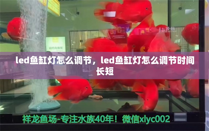 led鱼缸灯怎么调节，led鱼缸灯怎么调节时间长短