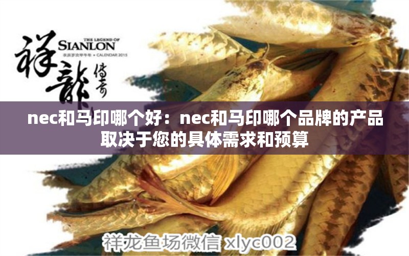 nec和马印哪个好：nec和马印哪个品牌的产品取决于您的具体需求和预算 马印水族 第3张