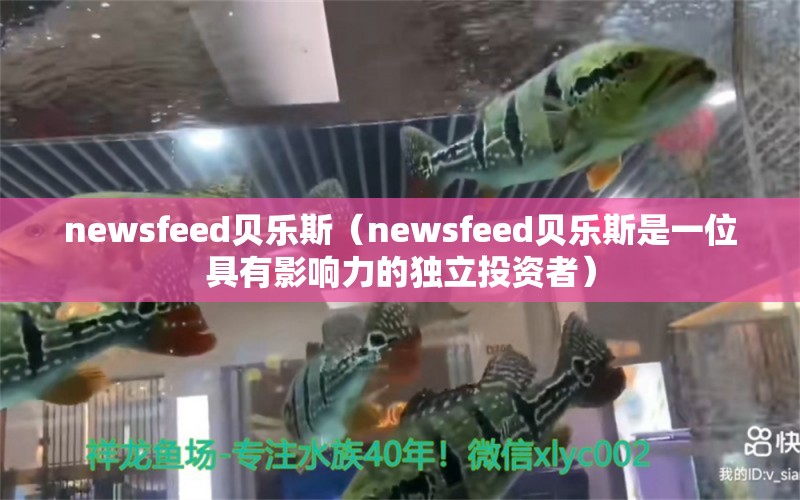 newsfeed贝乐斯（newsfeed贝乐斯是一位具有影响力的独立投资者）