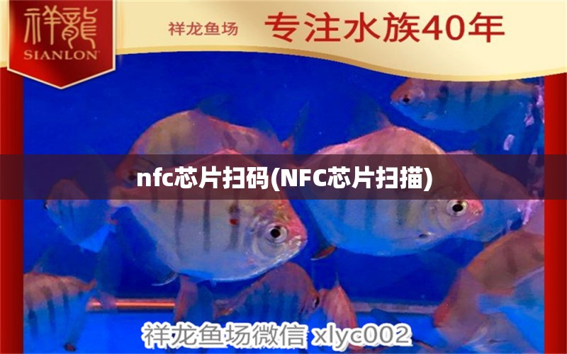 nfc芯片扫码(NFC芯片扫描)