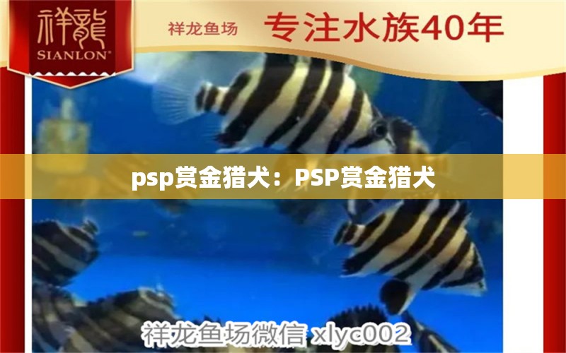 psp赏金猎犬：PSP赏金猎犬