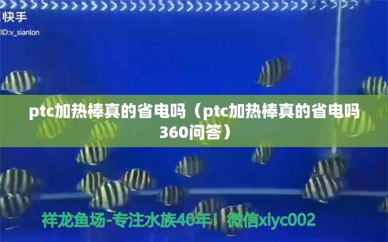 ptc加热棒真的省电吗（ptc加热棒真的省电吗360问答）