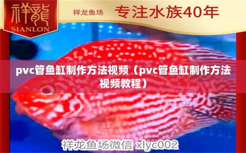 pvc管鱼缸制作方法视频（pvc管鱼缸制作方法视频教程）