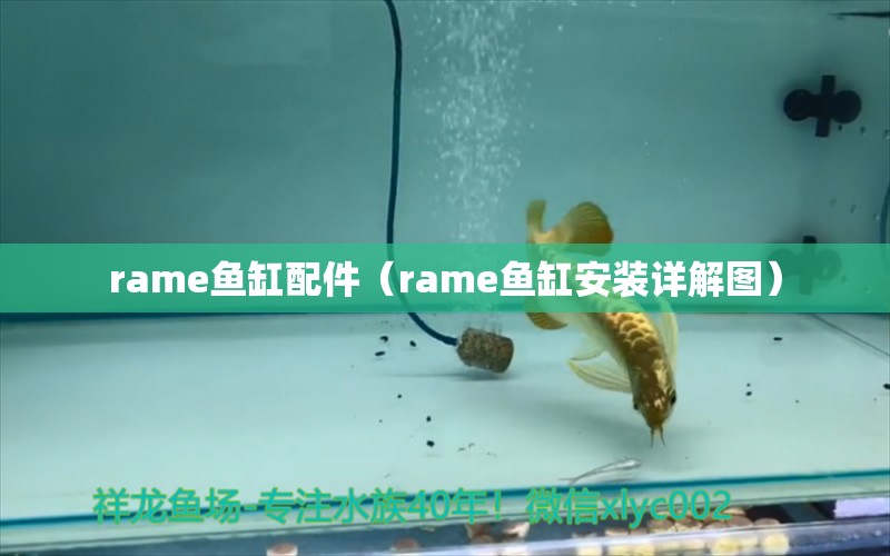 rame鱼缸配件（rame鱼缸安装详解图） 祥龙水族医院