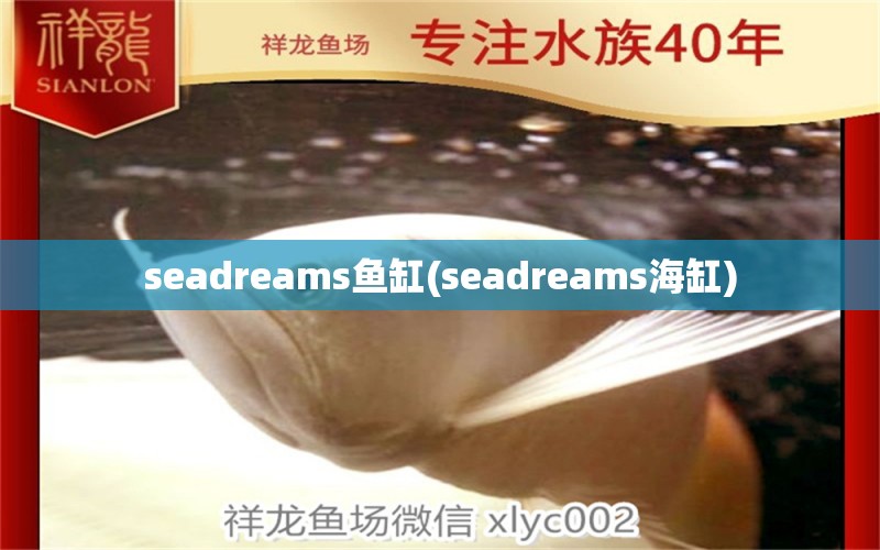 seadreams鱼缸(seadreams海缸) 蝴蝶鲤