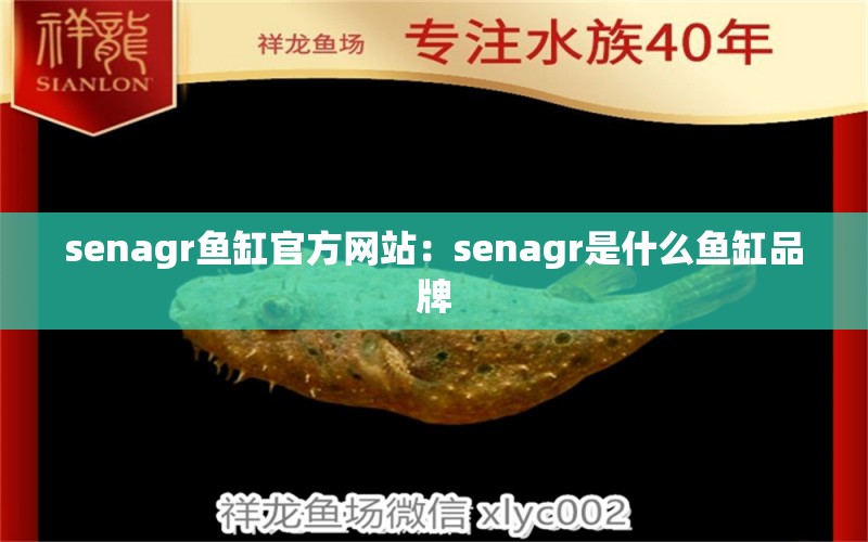 senagr鱼缸官方网站：senagr是什么鱼缸品牌