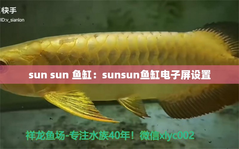 sun sun 鱼缸：sunsun鱼缸电子屏设置