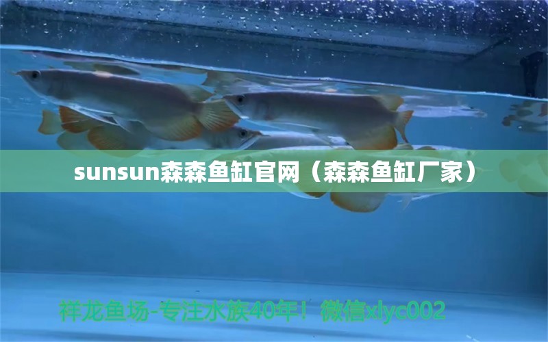 sunsun森森鱼缸官网（森森鱼缸厂家）