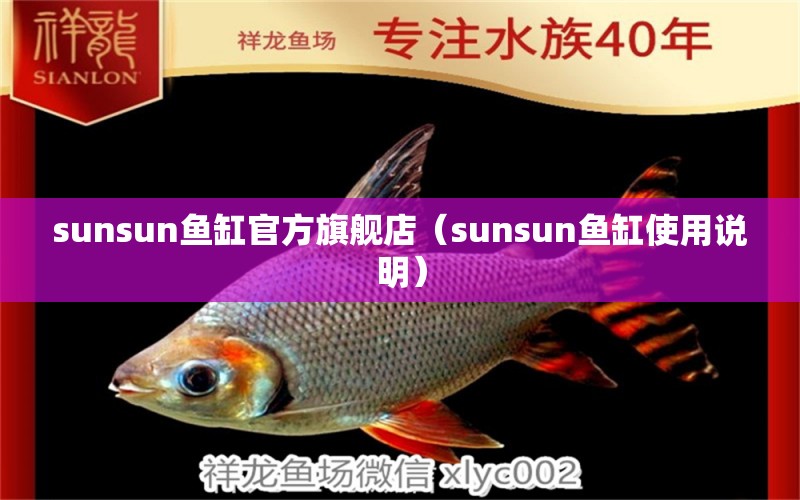 sunsun鱼缸官方旗舰店（sunsun鱼缸使用说明） 金头过背金龙鱼 第1张