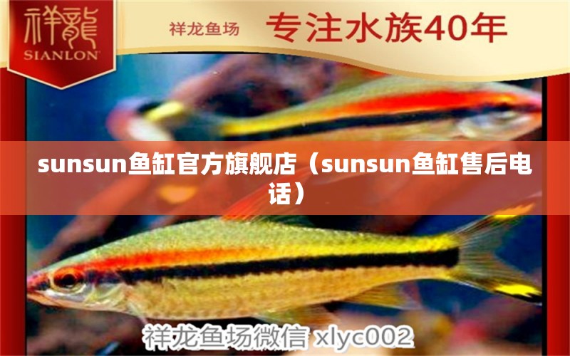 sunsun鱼缸官方旗舰店（sunsun鱼缸售后电话） 喷点菠萝鱼 第1张