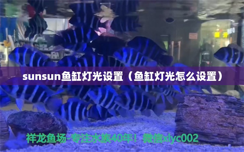 sunsun鱼缸灯光设置（鱼缸灯光怎么设置）