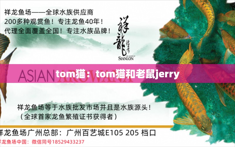 tom猫：tom猫和老鼠jerry