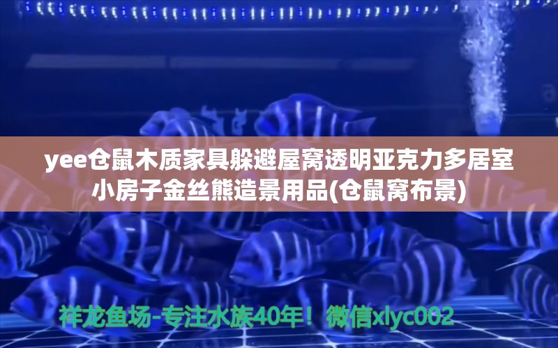 yee仓鼠木质家具躲避屋窝透明亚克力多居室小房子金丝熊造景用品(仓鼠窝布景)