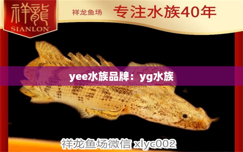 yee水族品牌：yg水族 yee