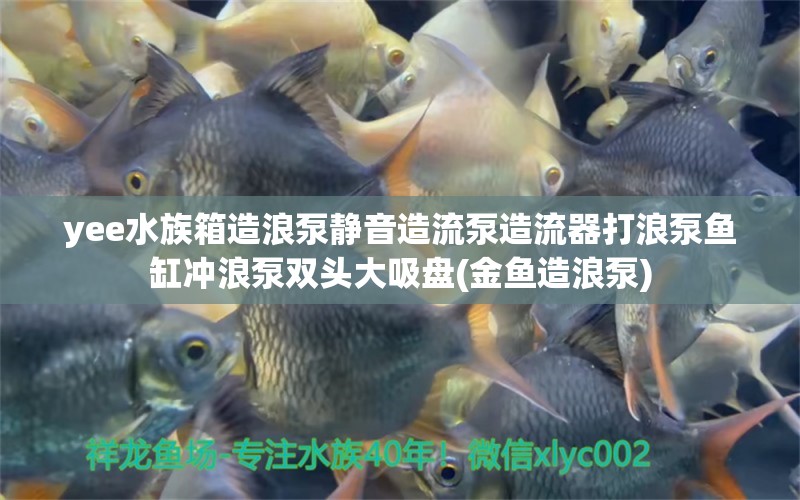 yee水族箱造浪泵静音造流泵造流器打浪泵鱼缸冲浪泵双头大吸盘(金鱼造浪泵)