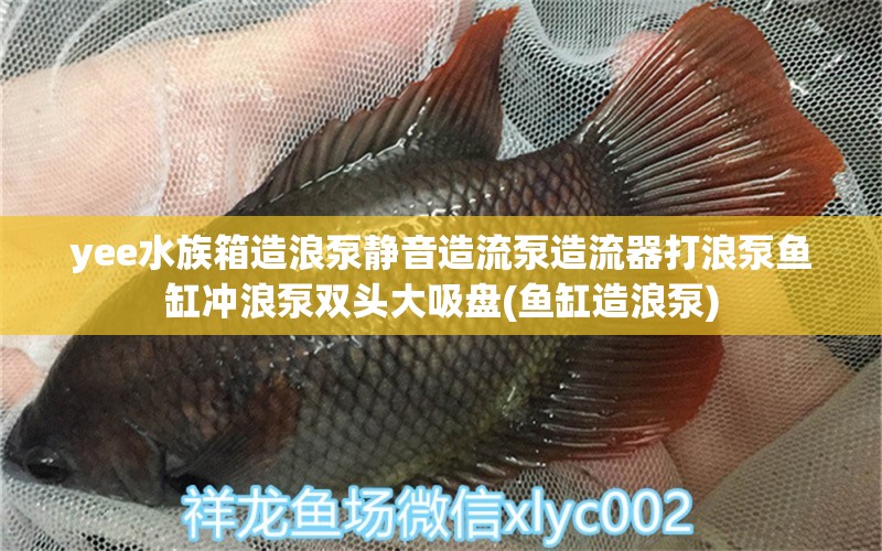 yee水族箱造浪泵静音造流泵造流器打浪泵鱼缸冲浪泵双头大吸盘(鱼缸造浪泵)