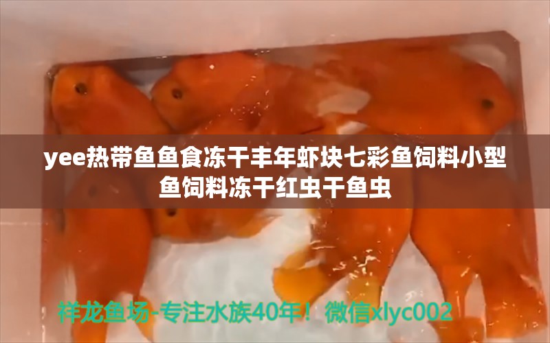 yee热带鱼鱼食冻干丰年虾块七彩鱼饲料小型鱼饲料冻干红虫干鱼虫