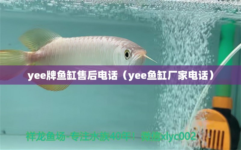 yee牌鱼缸售后电话（yee鱼缸厂家电话） yee