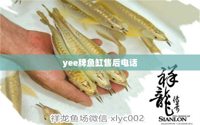 yee牌鱼缸售后电话