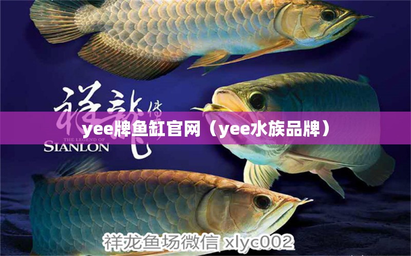 yee牌鱼缸官网（yee水族品牌） yee