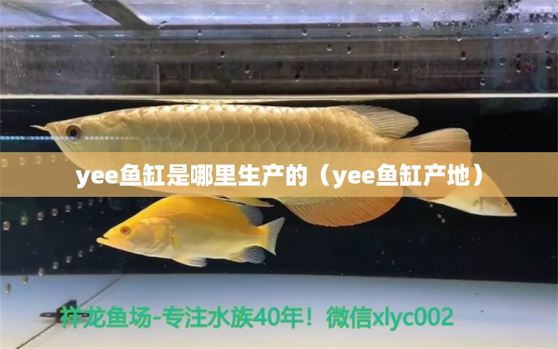 yee鱼缸是哪里生产的（yee鱼缸产地）